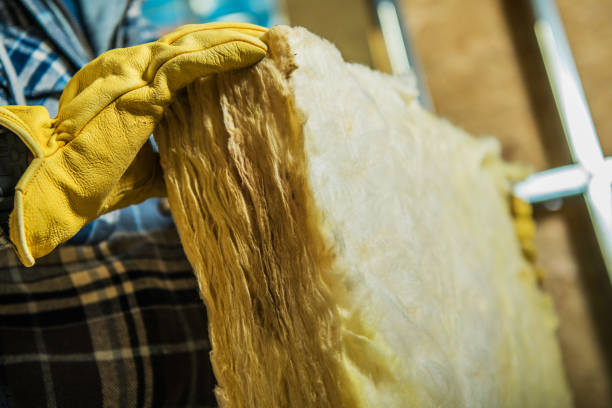Best Crawl Space Insulation  in West Plains, MO