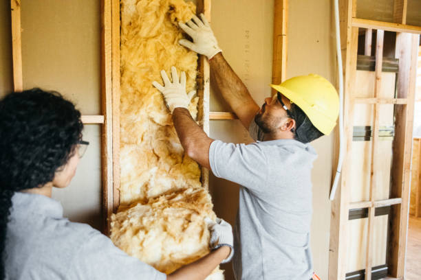 Soundproof Insulation Installation in West Plains, MO