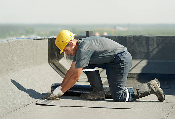 Best Attic Insulation Installation  in West Plains, MO