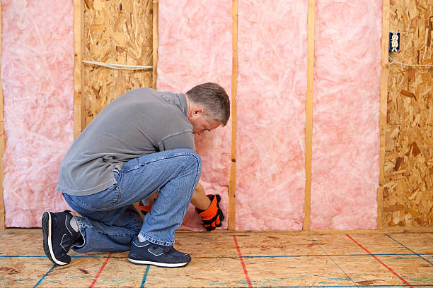 Best Attic Insulation Installation  in West Plains, MO