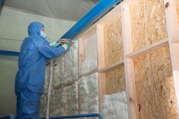 Best Cellulose Insulation  in West Plains, MO
