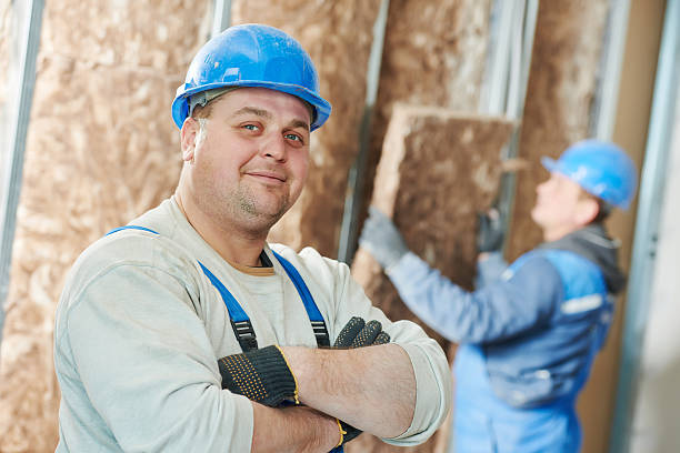 Best Insulation Contractors for Homes  in West Plains, MO