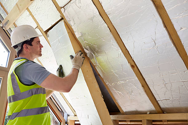 Best Attic Insulation Near Me  in West Plains, MO